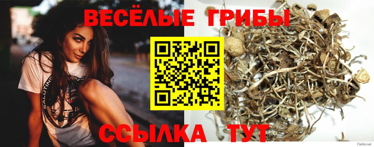 Галлюциногенные грибы ЛСД Родники